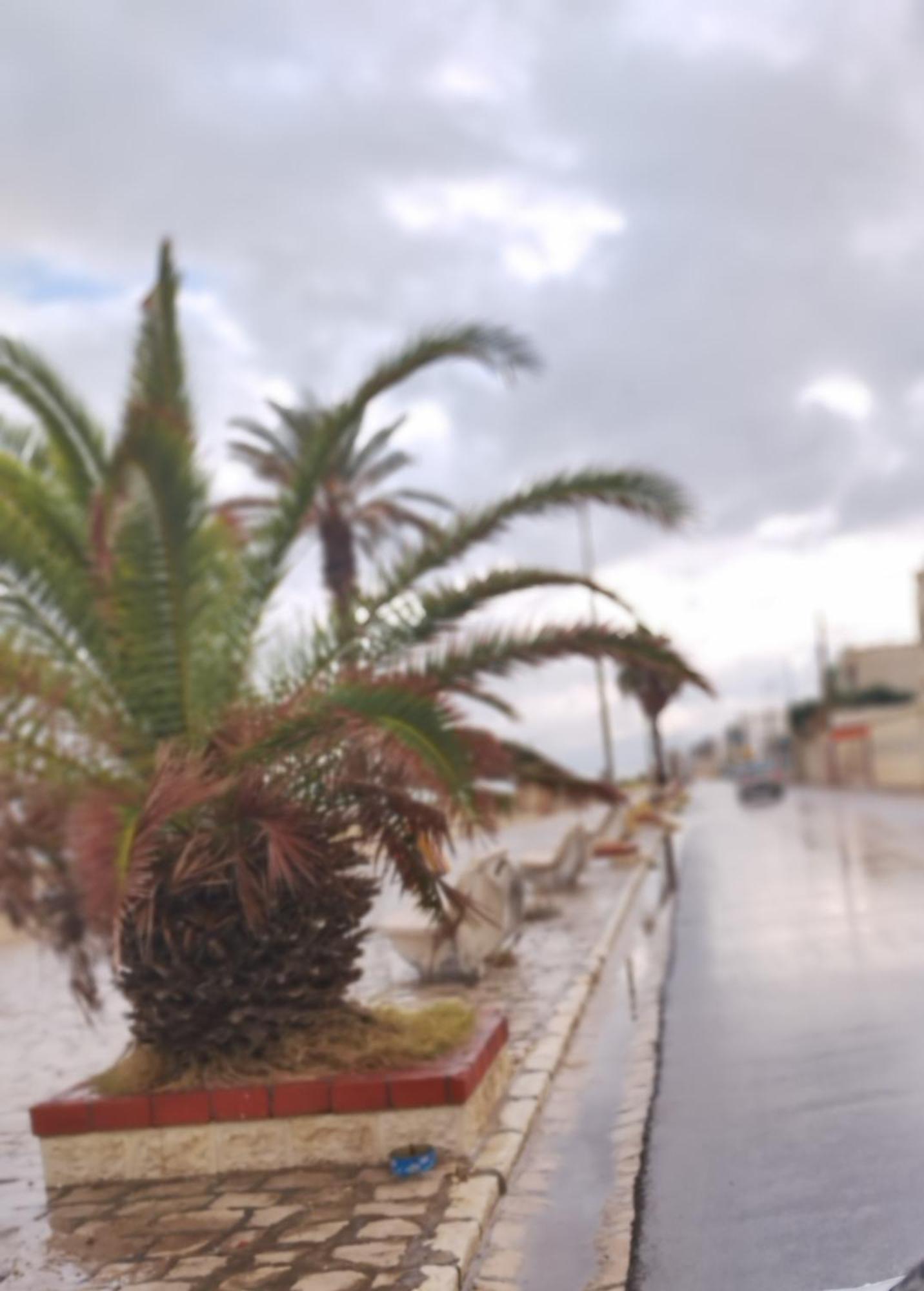 Appartement Hammam-Lif Les Cyclamens Tunisie Afrique Exterior foto